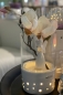 Mobile Preview: Deko Windlicht Forlie LED creme weiß 23,5 cm