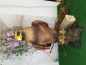 Preview: großer Steinadler Raubvogel Greifvogel Gebirge Gartendeko Figur Herr der Lüfte Stärke