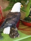 Preview: Weisskopfadler auf Stamm Greifvogel Wappentier USA Kanada Dekovogel Seeadler Jäger "NEU"