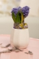 Mobile Preview: Orchideen Blumentopf Carmina creme - weiss 14 cm