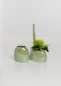 Mobile Preview: Vase Caruso hellgrün 14 cm breit