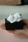 Preview: Tiziano Glücksschwein Tilly schlafend mit Glücksblatt in Geschenkbox 10 cm