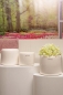 Mobile Preview: Blumentopf Bellagio creme weiß 16 cm