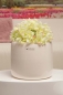 Preview: Blumentopf Bellagio creme weiß 18 cm