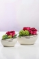 Preview: Pflanzschale Pini creme weiss 24 cm - Tiziano