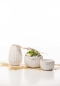 Preview: Tiziano Vase Merenda creme weiss perlmut