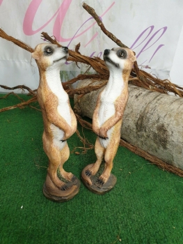 Erdmännchen Paar stehend 21 cm
