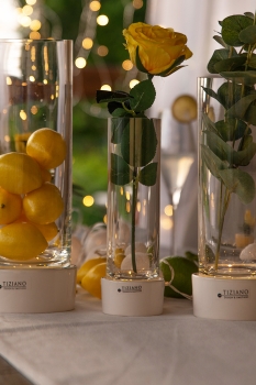 Deko Blumenvase Castello LED creme-weiss 28,0 cm - Tiziano Design