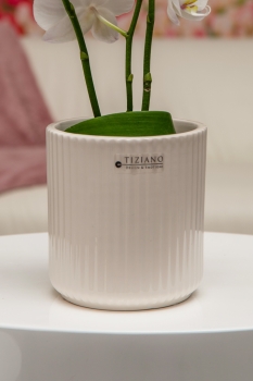Orchideenblumentopf Galla creme-weiß 13 cm