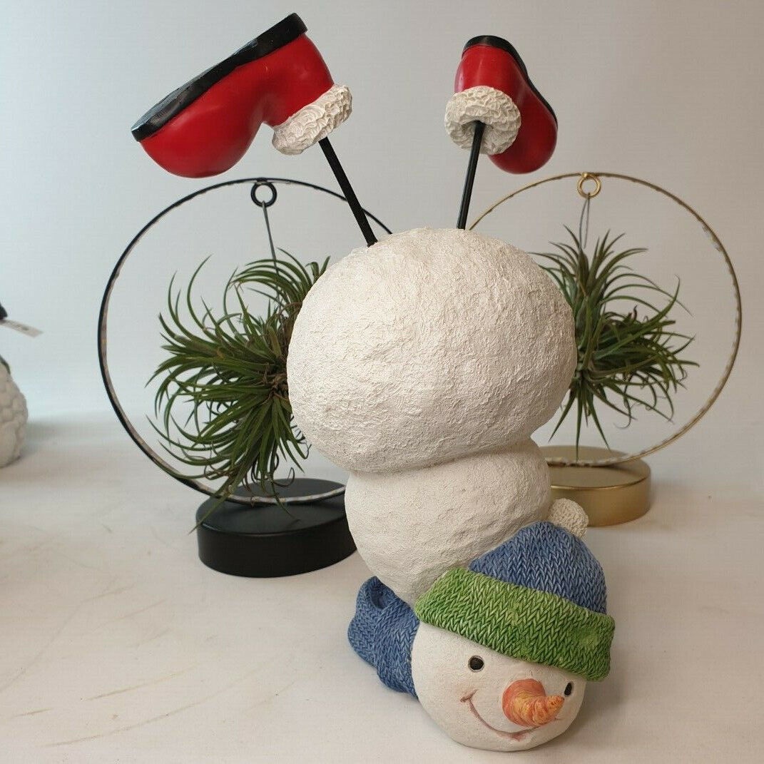 Schneemann auf dem Kopf|Geschenke, Geschenke, Blumen