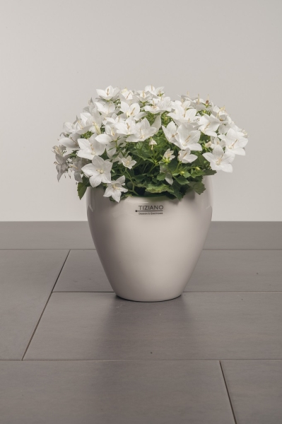 Pflanzgefäß - Kübel Oslo creme weiss 22 cm Tiziano