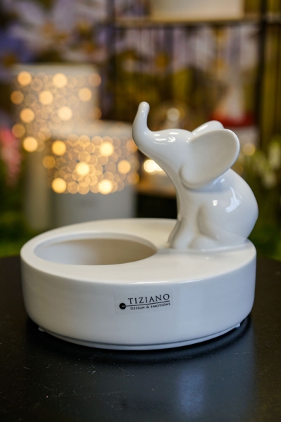 Schale Zena mit Leon sitzend creme weiß 15 cm - Tiziano