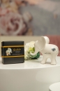 Dekoelefant Leon in Geschenkbox mit Glückklee 8 cm creme weiss